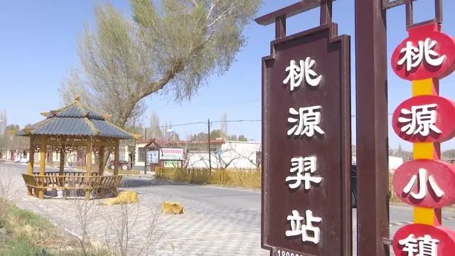 实施了桃源小镇田园综合体三期工程