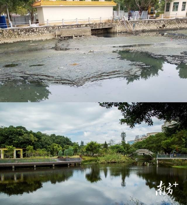 奎山公园整治前后对比图.奎山公园整治前后对比图.