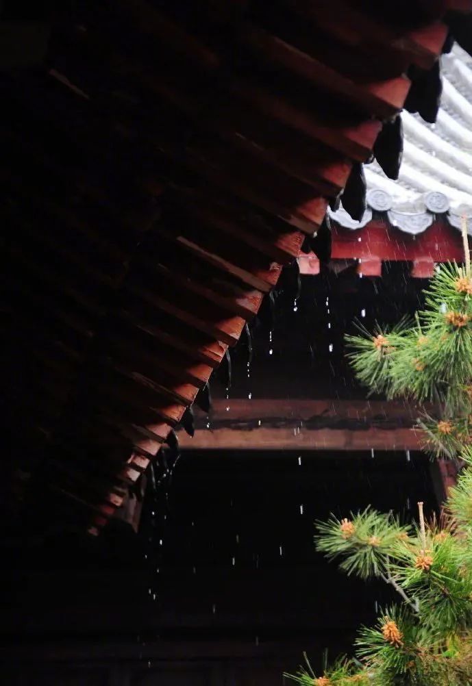 一下雨山東就美成了煙雨江南