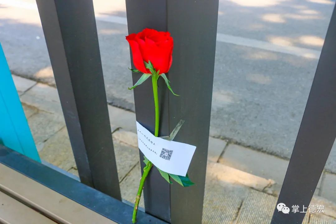 昨天芒市街头出现应急玫瑰咋回事