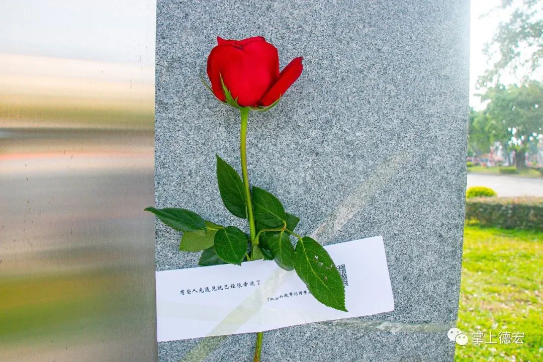 昨天芒市街头出现应急玫瑰咋回事