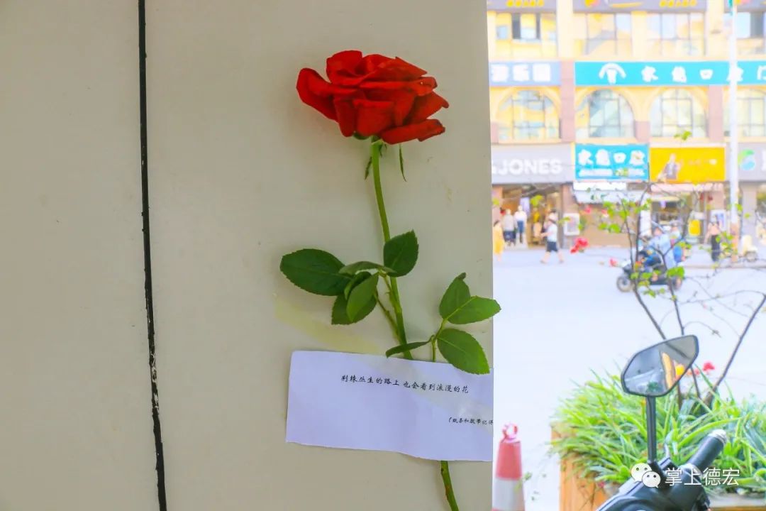 昨天芒市街头出现应急玫瑰咋回事