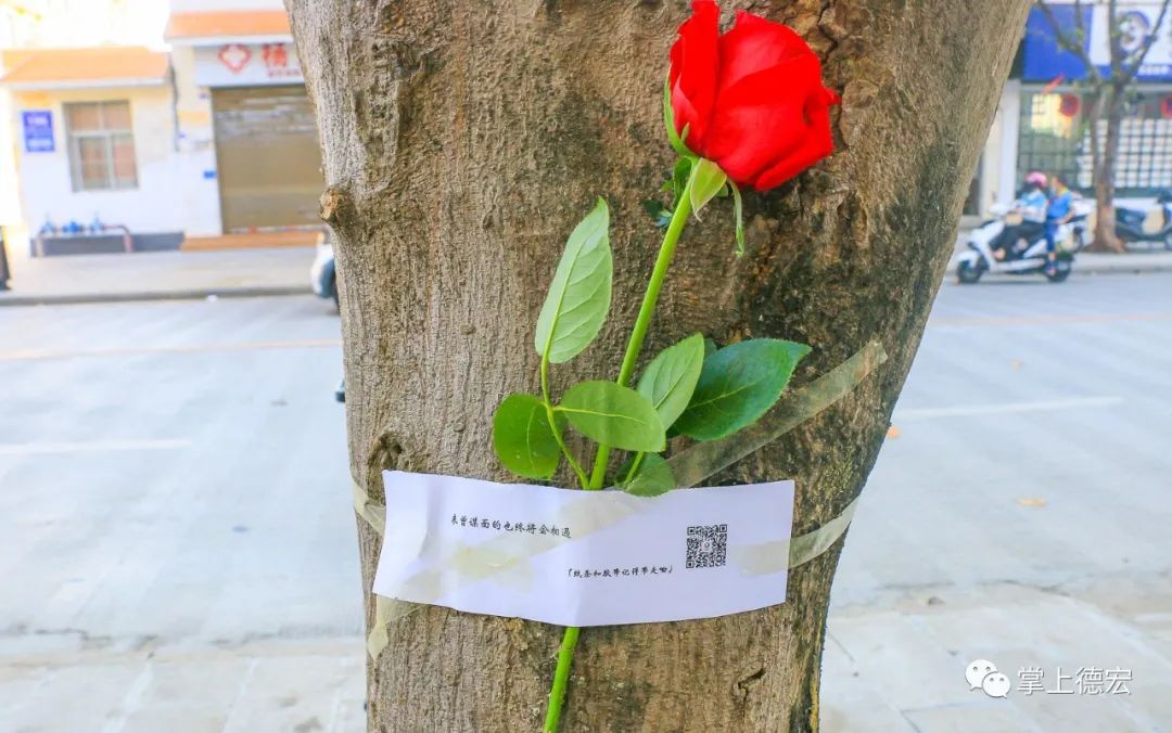 昨天芒市街头出现应急玫瑰咋回事