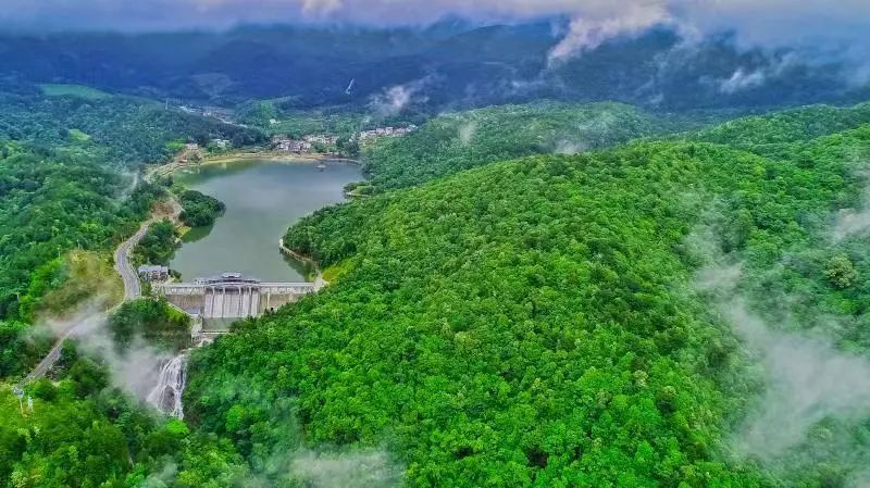 武平文旅推介团集合梁野山,松花寨,千鹭湖,尧禄村等景区特色推出"森林