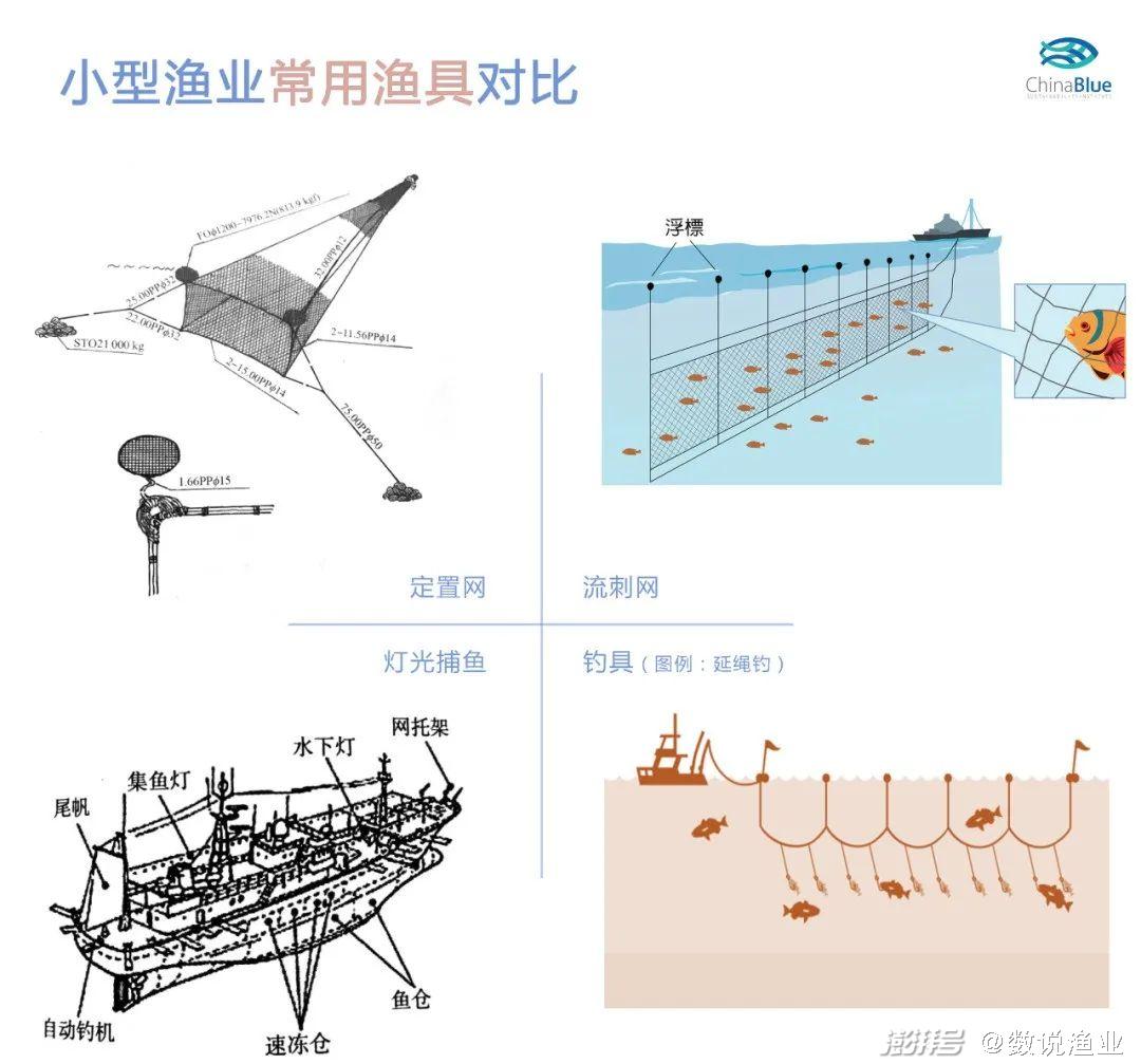 濒危物种特刊02丨多大的网眼 才能兜住海洋的未来 湃客 澎湃新闻 The Paper
