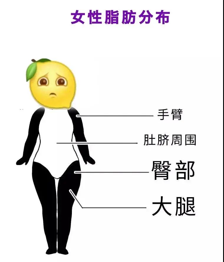 听说女生都好奇 为什么男生的腿更细更直