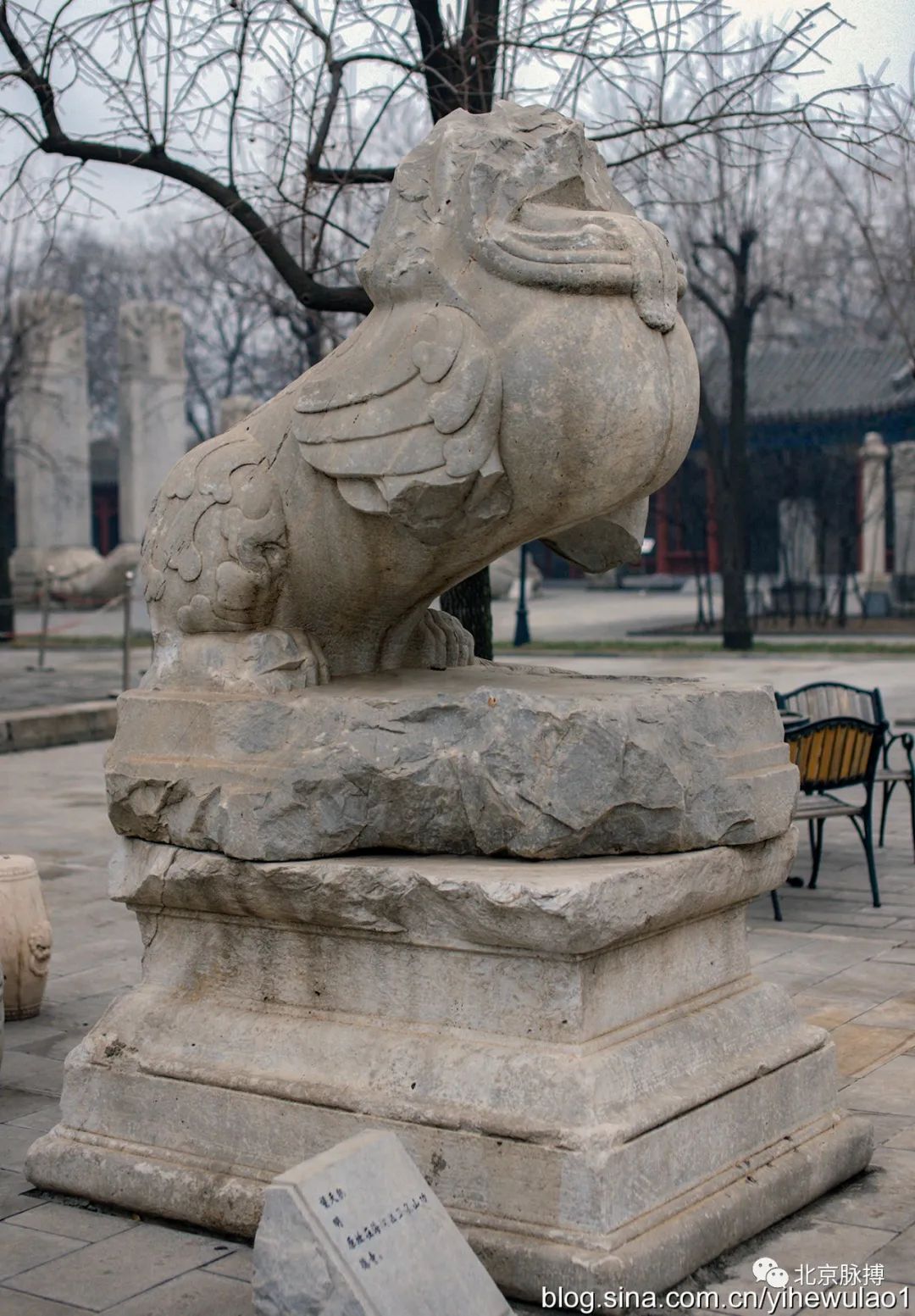 画说丨群狮荟萃——北京特色石狮图赏