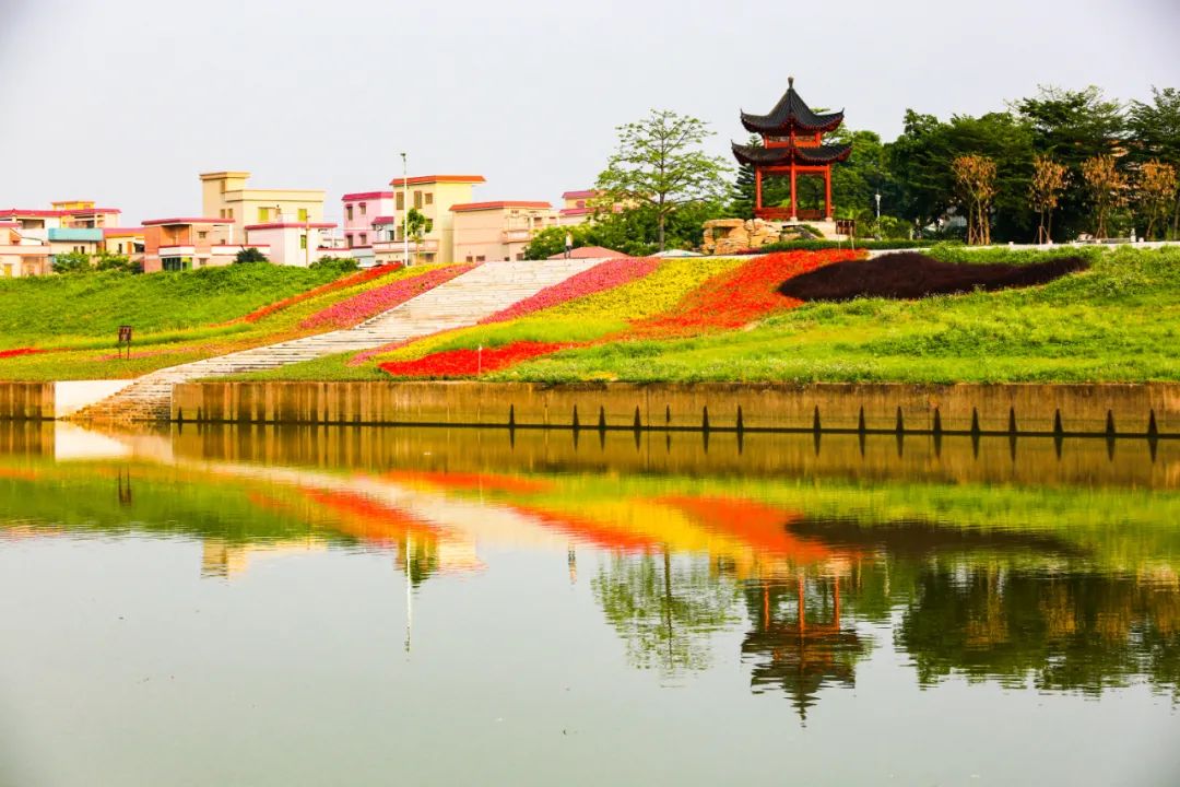 三水芦苞向新出发崛起三水经济新增长极丨学党史开新局④