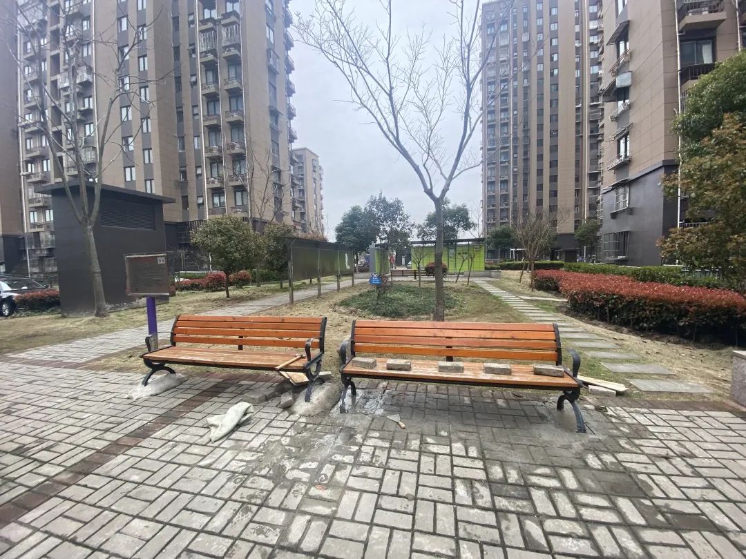 为民服务办实事，罗店镇让居民群众感受到社区新气象【我为群众办实事】