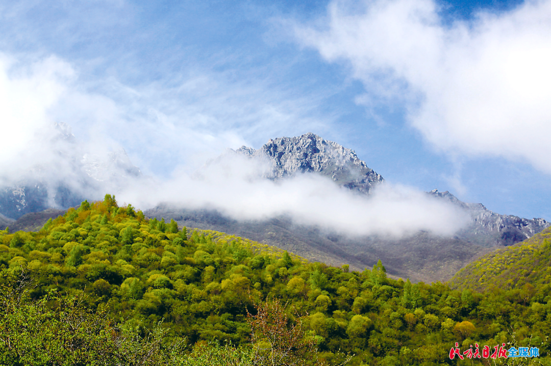 太子山——群峰高并白云齐