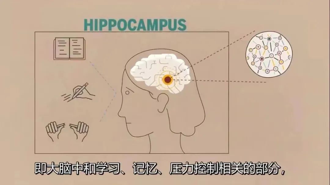 對於她的孩子在以後的生活中會如何應對壓力有一定影響