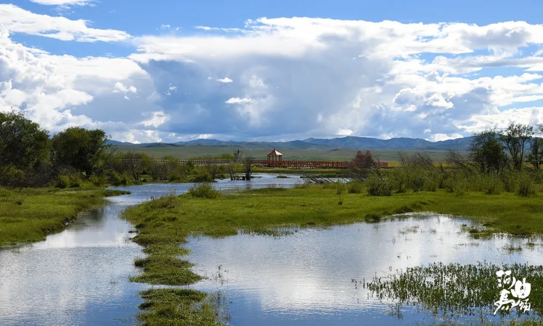 来河曲马场玩出甘南另一面
