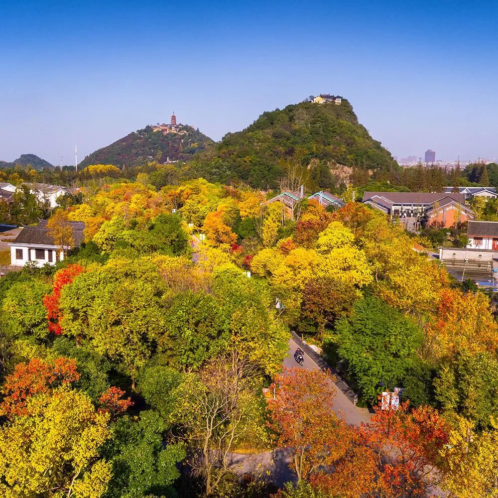 南通这条最美森林步道在省里出名了