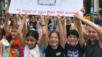 角色扮演游戏引发七年抗争：一群学前班孩子推动纽约通过杀虫剂禁令