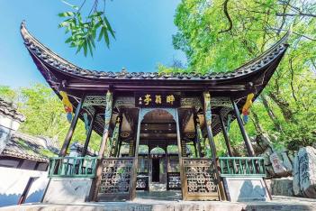 琅琊山上,杂树繁密,种类毕荟,"可圈可点"的名株佳木甚多——在"寒流