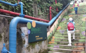 重庆一栋老旧社区有个小小生态花园，却有着神奇“魔法”