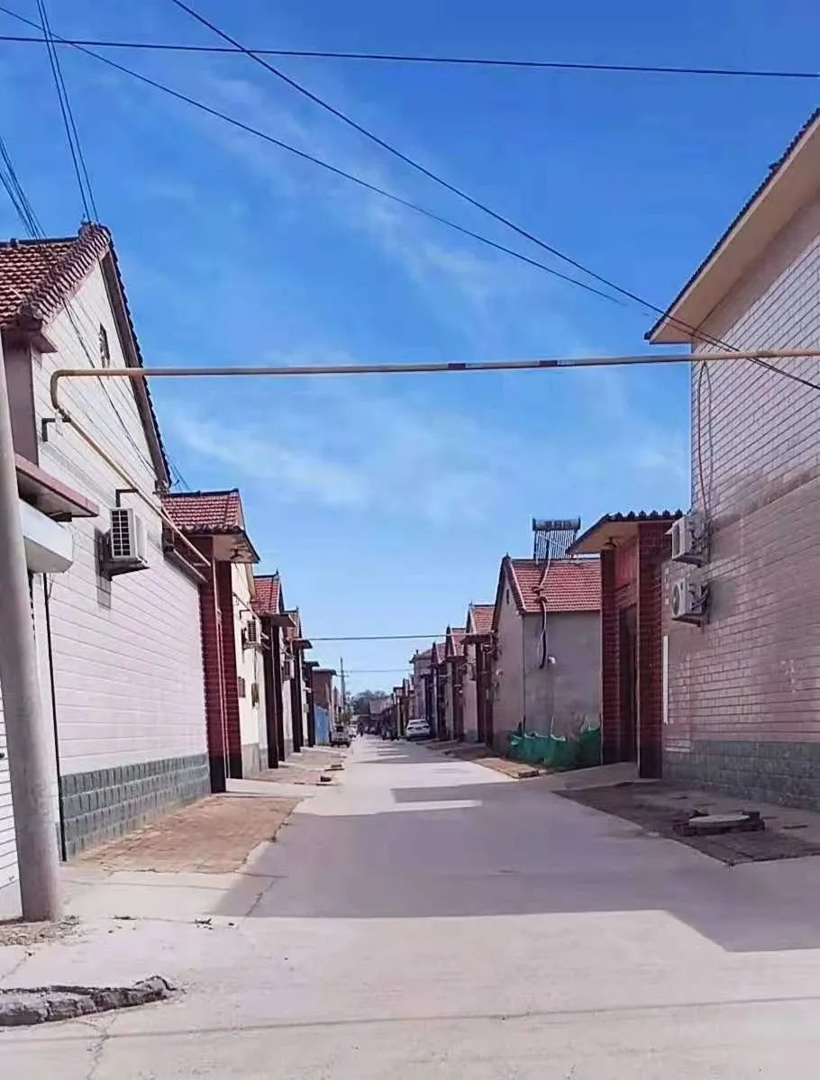 沧州经济开发区农村人居环境整治引蝶变