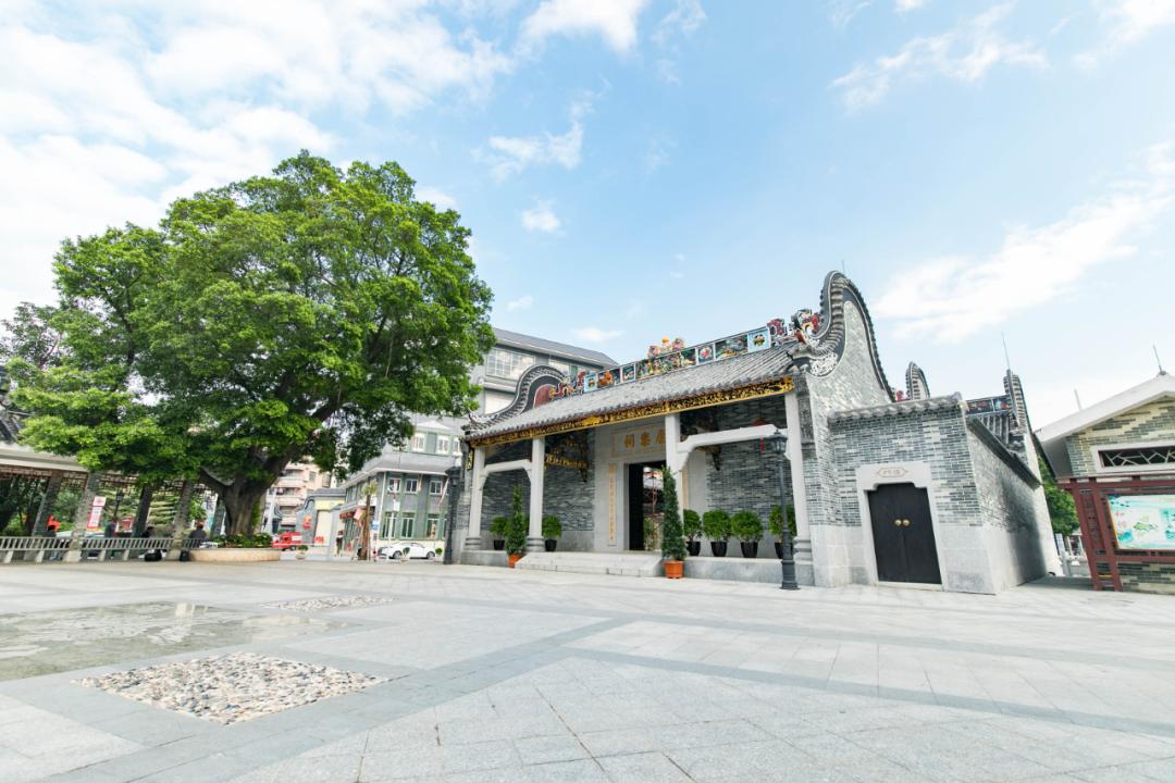 五一来张槎,水上拔河了解一下!