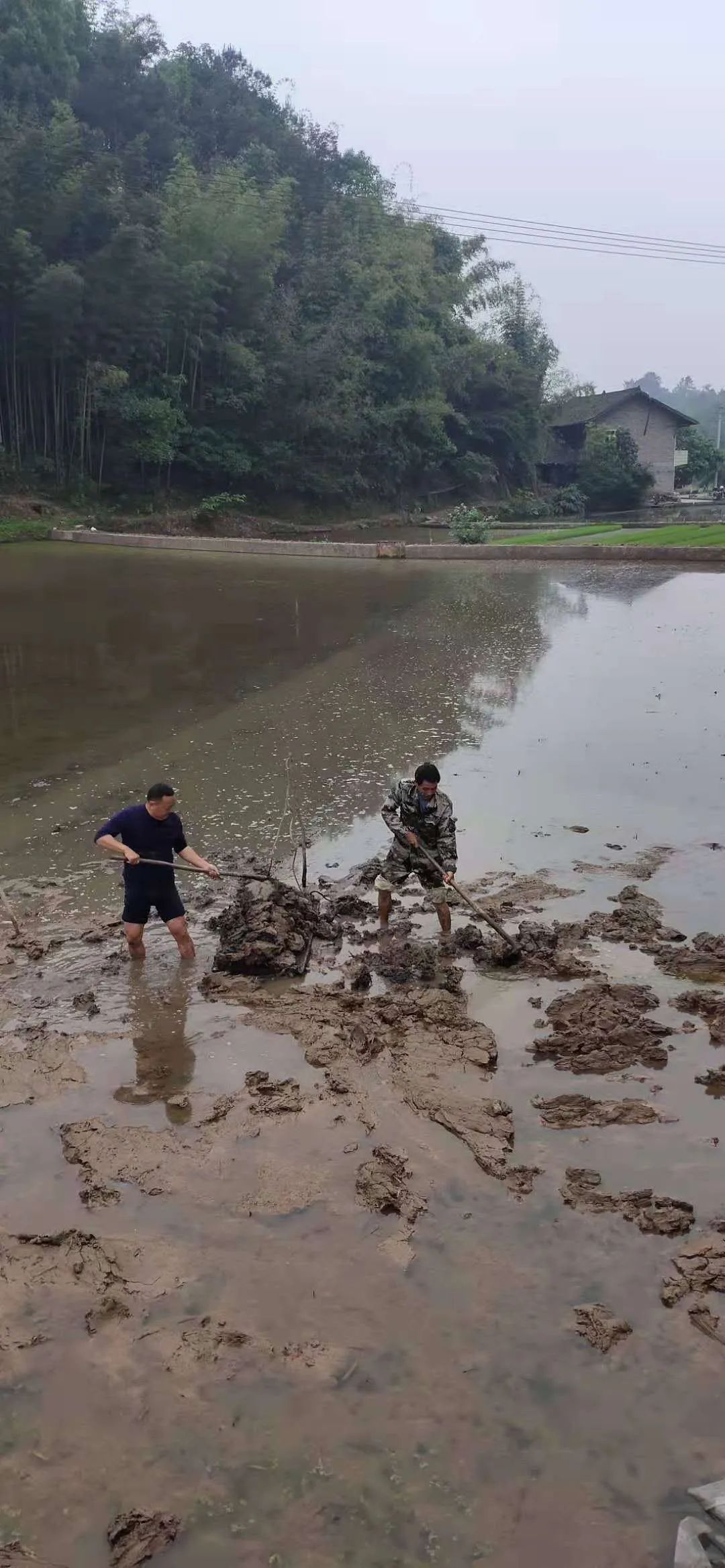 政法隊伍教育整頓七十六我為群眾辦實事黨員幹警拉泥船瞭解一下