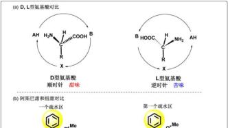 人们喜欢糖的甜味，可甜度最高的竟然不是糖？