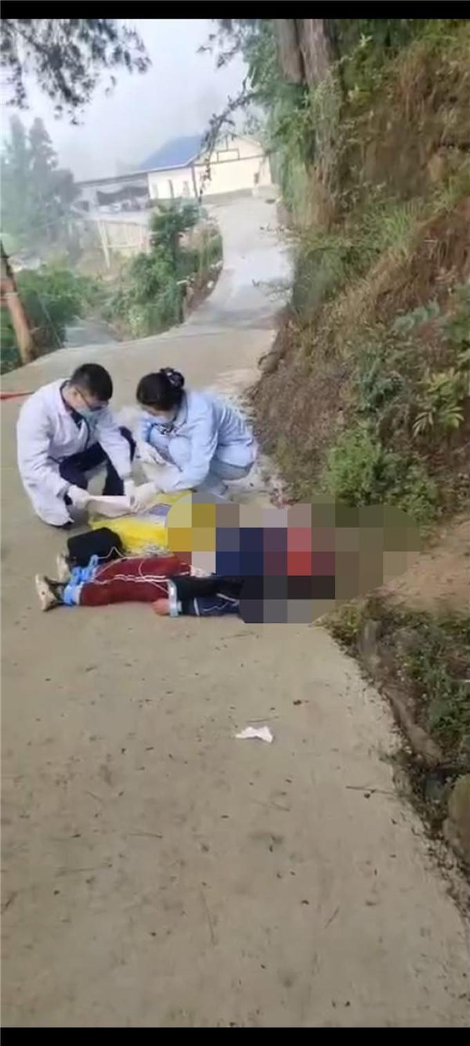 无妄之灾!8岁男童被三条狗咬死
