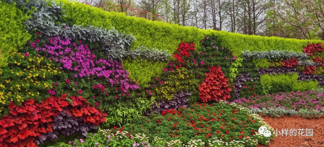 或集体在小样的花园5000平方米的鲜花党旗合影的创意照片分享至朋友圈