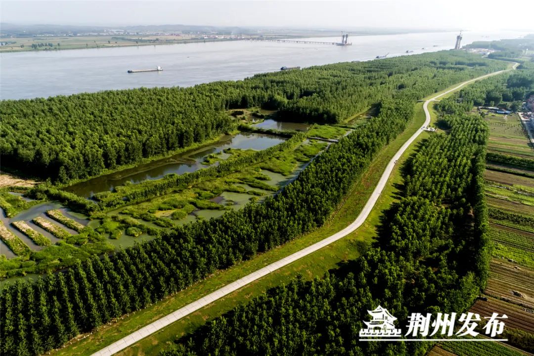 美在荆江绘就新画卷⑩人水和谐绘新景碧水长流润民生