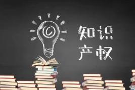 知识产权说白了是什么_知识产权法概念_知识产权保护对象