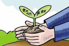 知识产权说白了是什么_知识产权法概念_知识产权保护对象