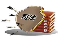 知识产权说白了是什么_知识产权法概念_知识产权保护对象