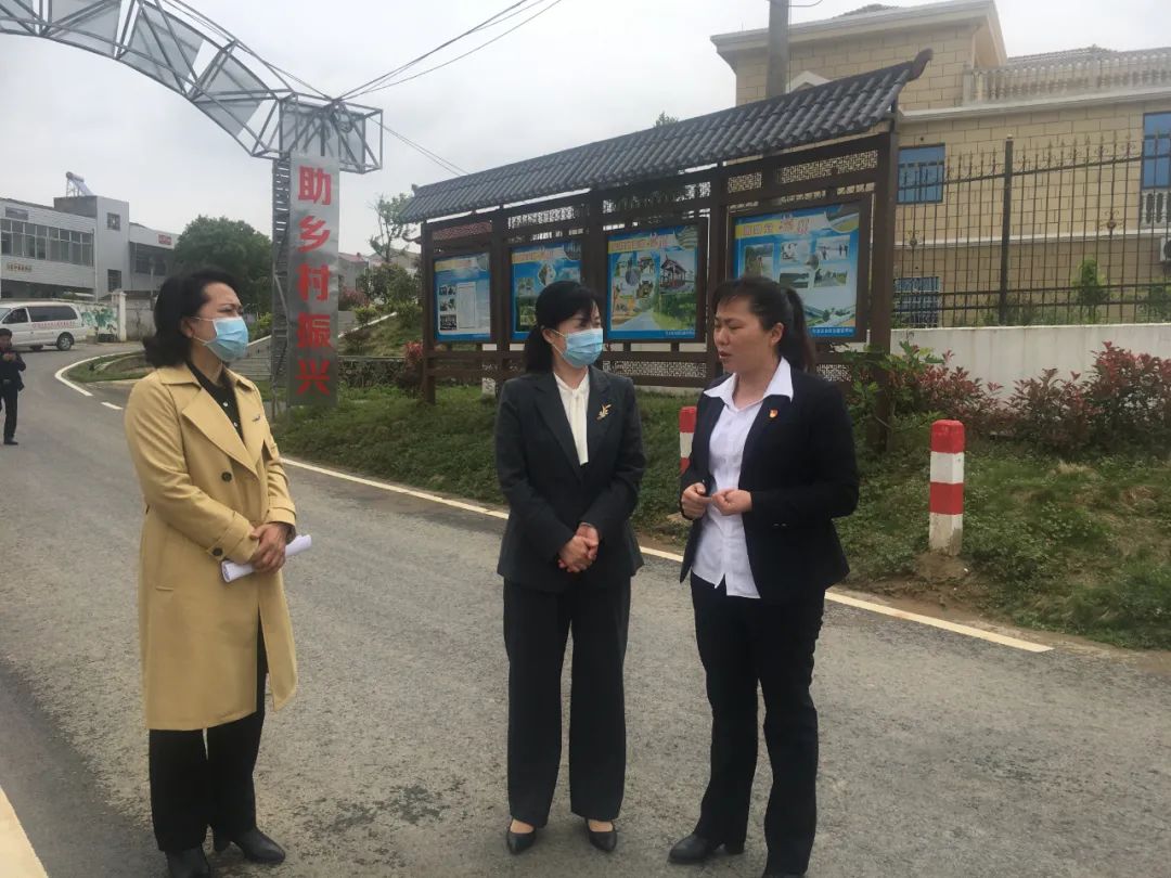 黄冈市妇儿工委第三调研组赴红安县开展妇女儿童发展规划实施情况调研