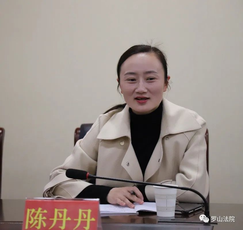 座谈会邀请了人大代表,政协委员,人民陪审员,律师,案件当事人及企业家