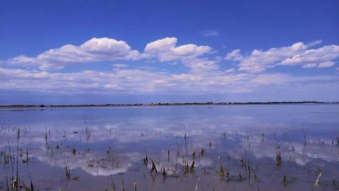 莎车国家湿地公园图片