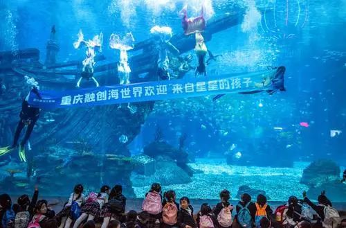 重庆沙坪坝海洋馆图片