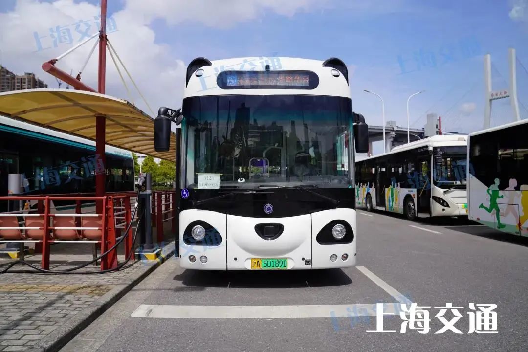 上海公交来了颜值担当呆萌熊猫公交车现身滨江