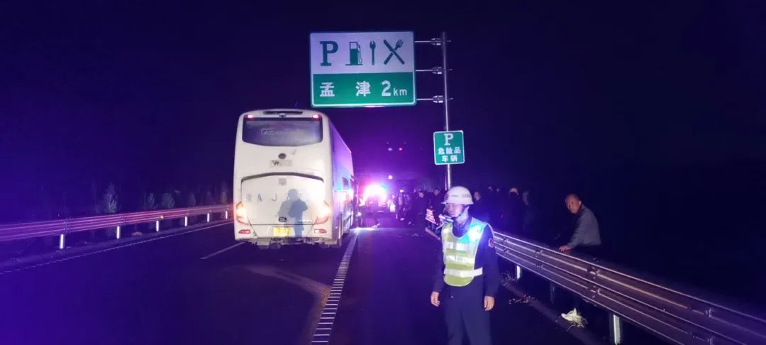 【话洛阳】 因为牡丹，更多人感受到“洛阳温度”