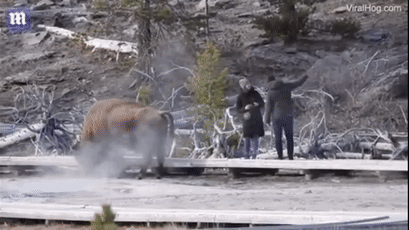 美之氧怎么装加州外海发现2万桶有毒废弃物，沉海底数十年 ｜ 美加新闻播报_https://www.jmylbn.com_新闻资讯_第38张