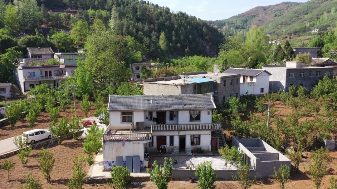 威宁融媒记者 朱四运 杜雍原标题:《盐仓镇营洞社区:樱桃种植,绿了