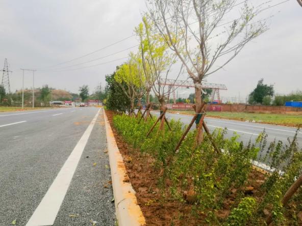 划重点邯郸武安西二环即将通车