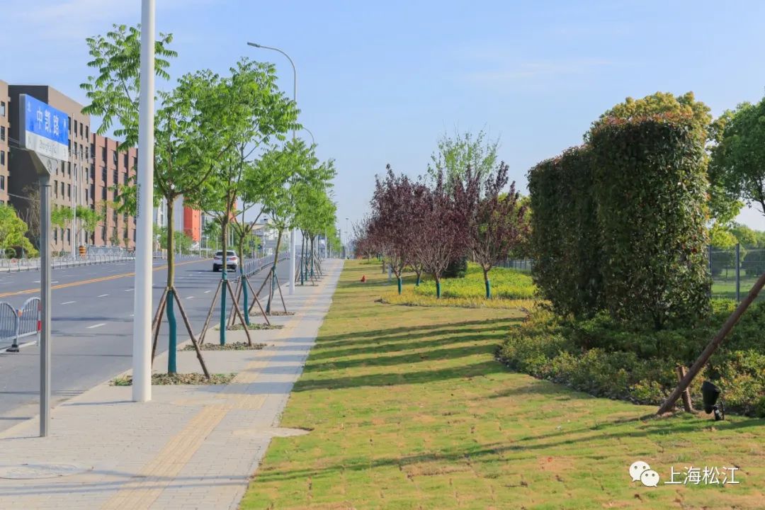 松江这条门面道路又有新变化你注意到了吗