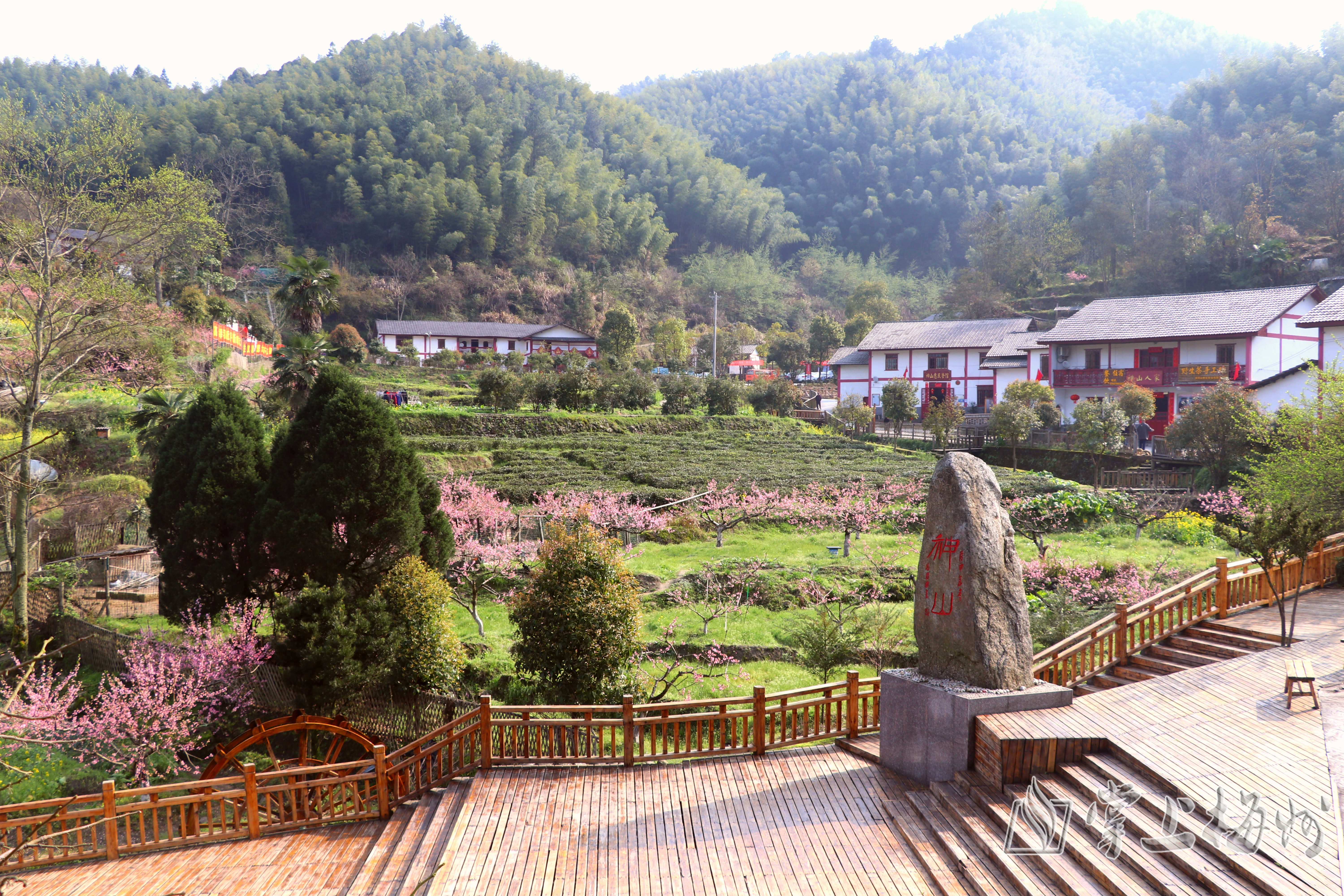 考察采访井冈山革命博物馆,茨坪革命旧址,小井红军医院旧址,神山村等