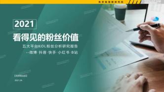 看得见的粉丝价值：五大平台KOL粉丝分析研究报告