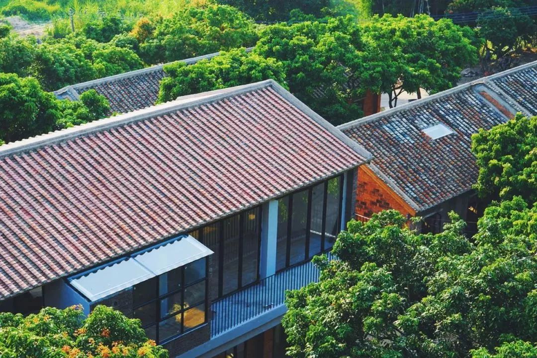 2021必盘广州最美民宿趁还没火快去睡