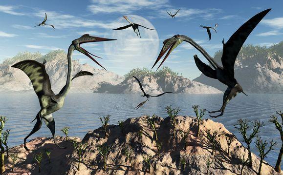 在庆城县黑河大峡谷遇见中国第一个翼龙主题文化景区