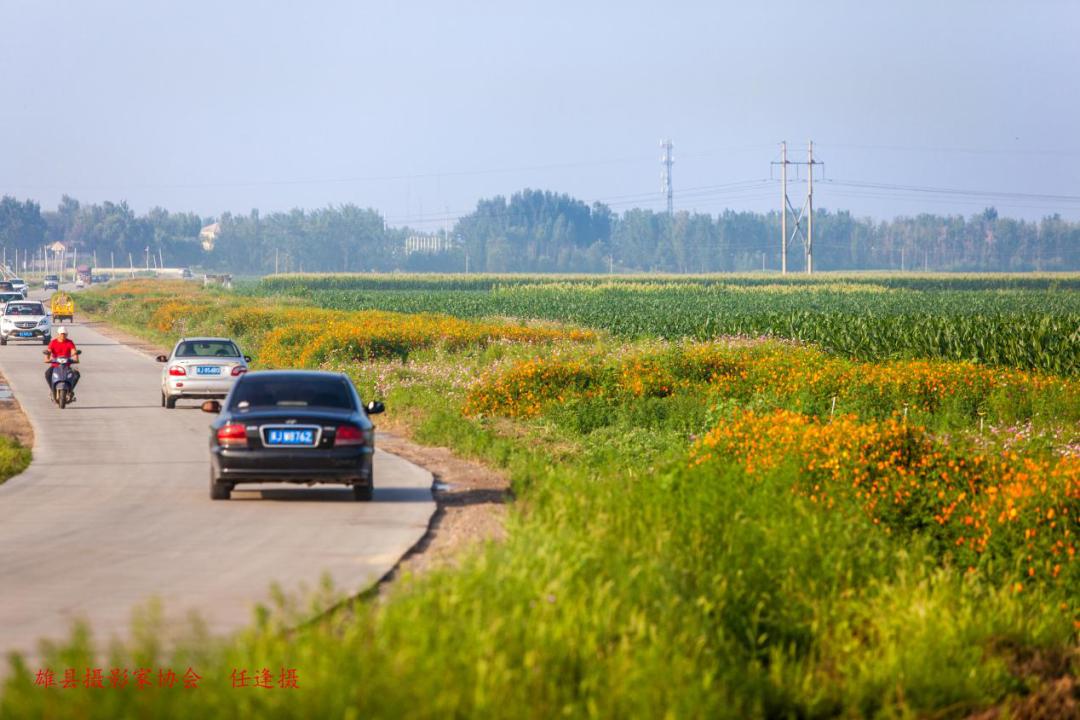路宽了,心安了!苟各庄镇筑牢安全通道