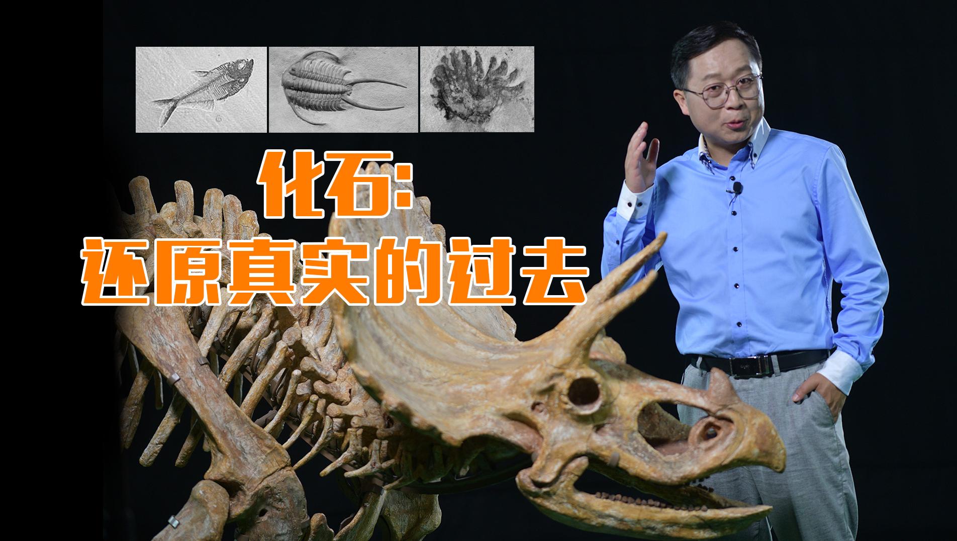 为什么要挖化石：亿万年前的古生物，是了解演化的直接证据