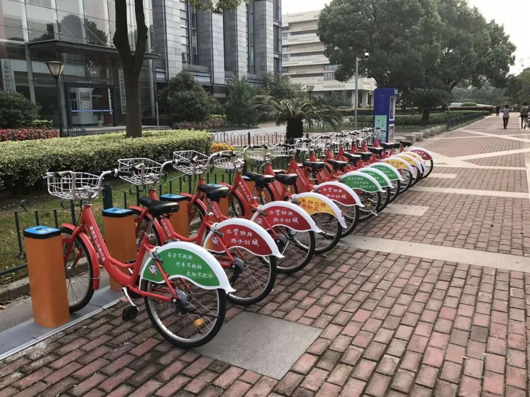 征询|停或续?奉贤公共自行车项目大家议