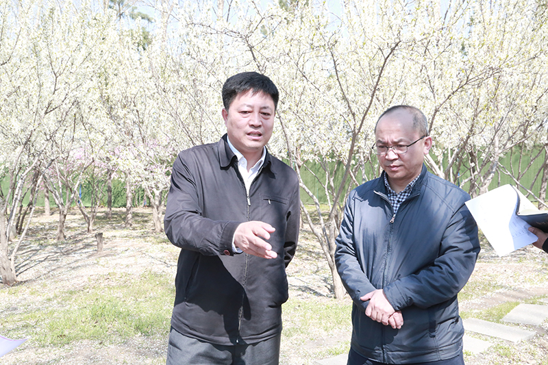 踏查过程中,薛春龙将各项工作任务进行了细化分解,落实到具体部门