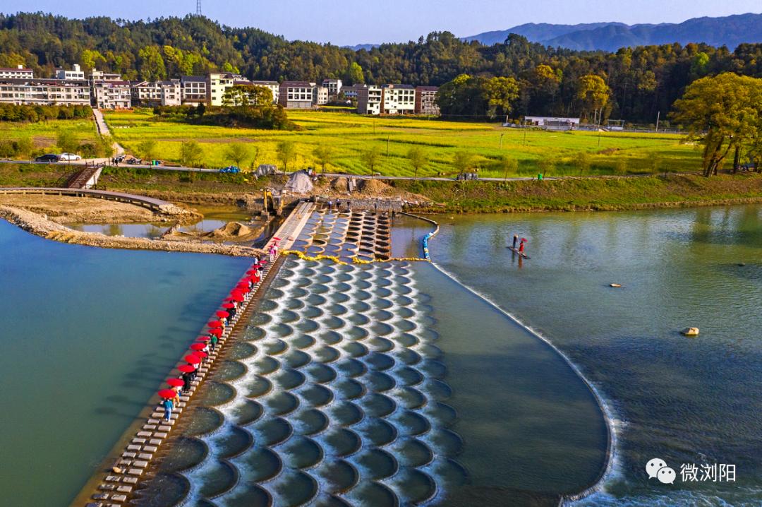 十万亩杜鹃花盛放浏阳深度游新玩法这份五一攻略请收好