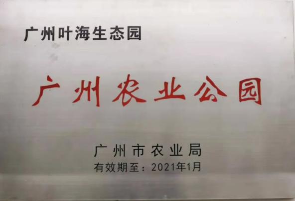 公园"粤港澳大湾区'菜篮子'生产基地"花都叶海生态园优稀水果示
